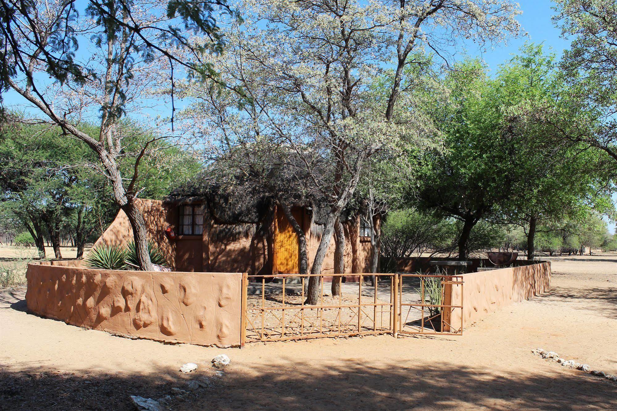 Harnas Wildlife Foundation Gobabis Zewnętrze zdjęcie