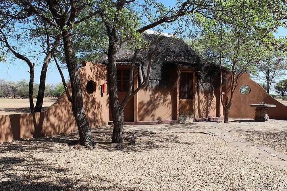 Harnas Wildlife Foundation Gobabis Zewnętrze zdjęcie