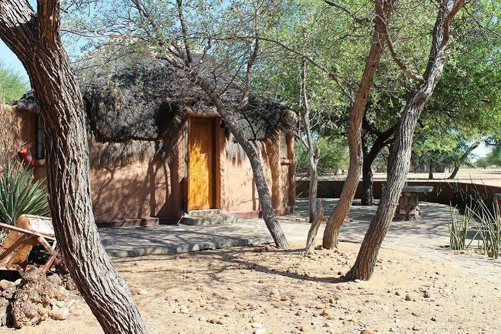 Harnas Wildlife Foundation Gobabis Zewnętrze zdjęcie
