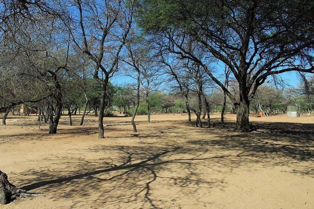Harnas Wildlife Foundation Gobabis Zewnętrze zdjęcie