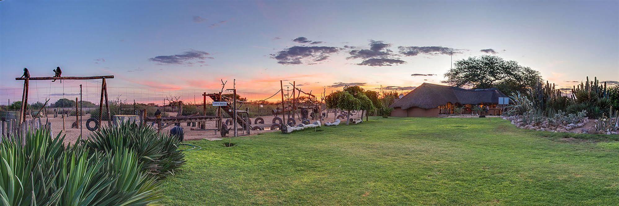 Harnas Wildlife Foundation Gobabis Zewnętrze zdjęcie